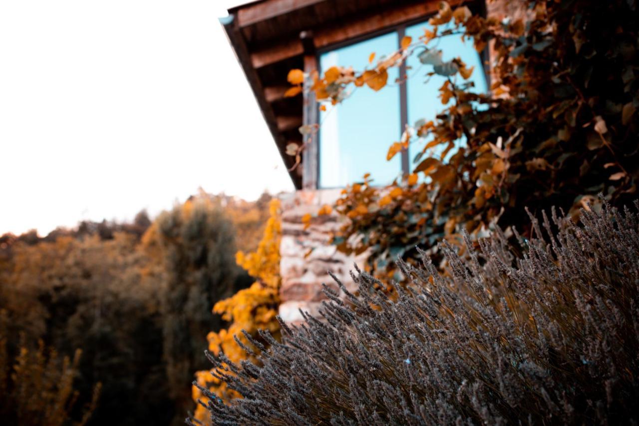 Maison D'Hotes Le Hameau De La Mure Saint-Laurent-du-Pape Exterior foto